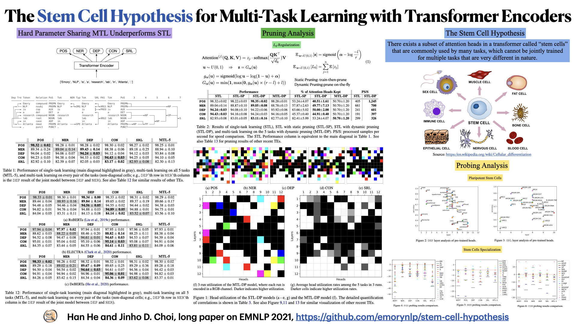 #EMNLP21#干细胞假说：神经网络也具备干细胞难成全才